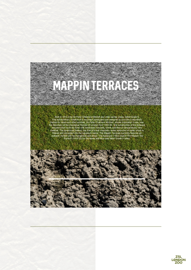 mappin terraces 4